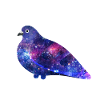 Galaxy Pigeon Friend