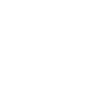 ski