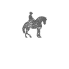 Rodéo Cowboy Salut