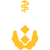 Generalstabsarzt Dienstgrad