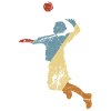 Volley-ball