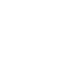 stepfather