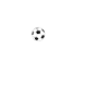soccer coach coach