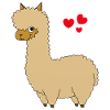 Funny Lama