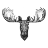 elk