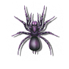 Giant Huntsman Spider