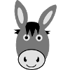 Cute Donkey