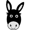 Cute Donkey