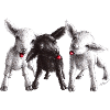 mouton effronté