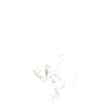 Frog / Frog