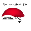Chat santa