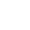 ice Hockey