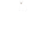 Alpaka-Anspucken