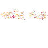 Fly