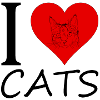 I love Cats