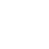 Paraglider