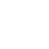 Bull Terrier