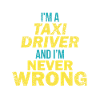 taxi driver