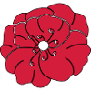 Red Peony garden flower