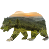 Baer2 im Wald