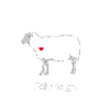 Föhr To Go - mouton