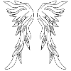 Feathers wing