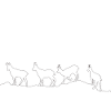 Chèvres sauvages