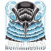 humming-bird