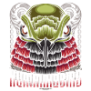 humming-bird