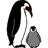 Pinguin mit Baby