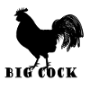 big cock