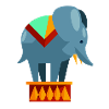 Circus elephant