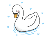 swan