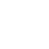 theft of seagulls