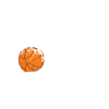 Le panier de basket-ball Buddy