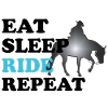 Reining Western Rider