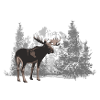 Moose - Moose