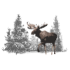 Elk
