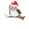 hibou