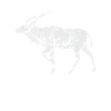 Bronntanas Ainmhithe Addax