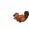 beaver