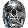 Platinum Skull