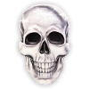Skull Biker Shirt Skull Art Design