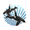 Orca