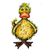 Funny ducks look