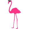Flymingo - Fly Guy