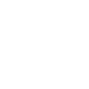 Münsterländer Jagdhund