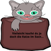 le chat dans le sac
