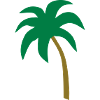 palm