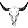 Buffalo skull